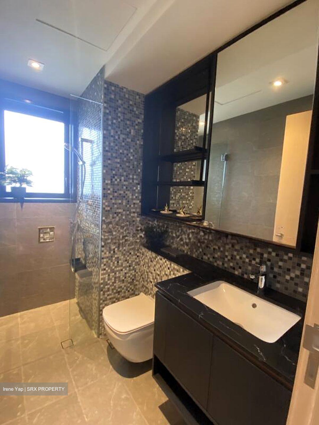 The Antares (D14), Apartment #570092441